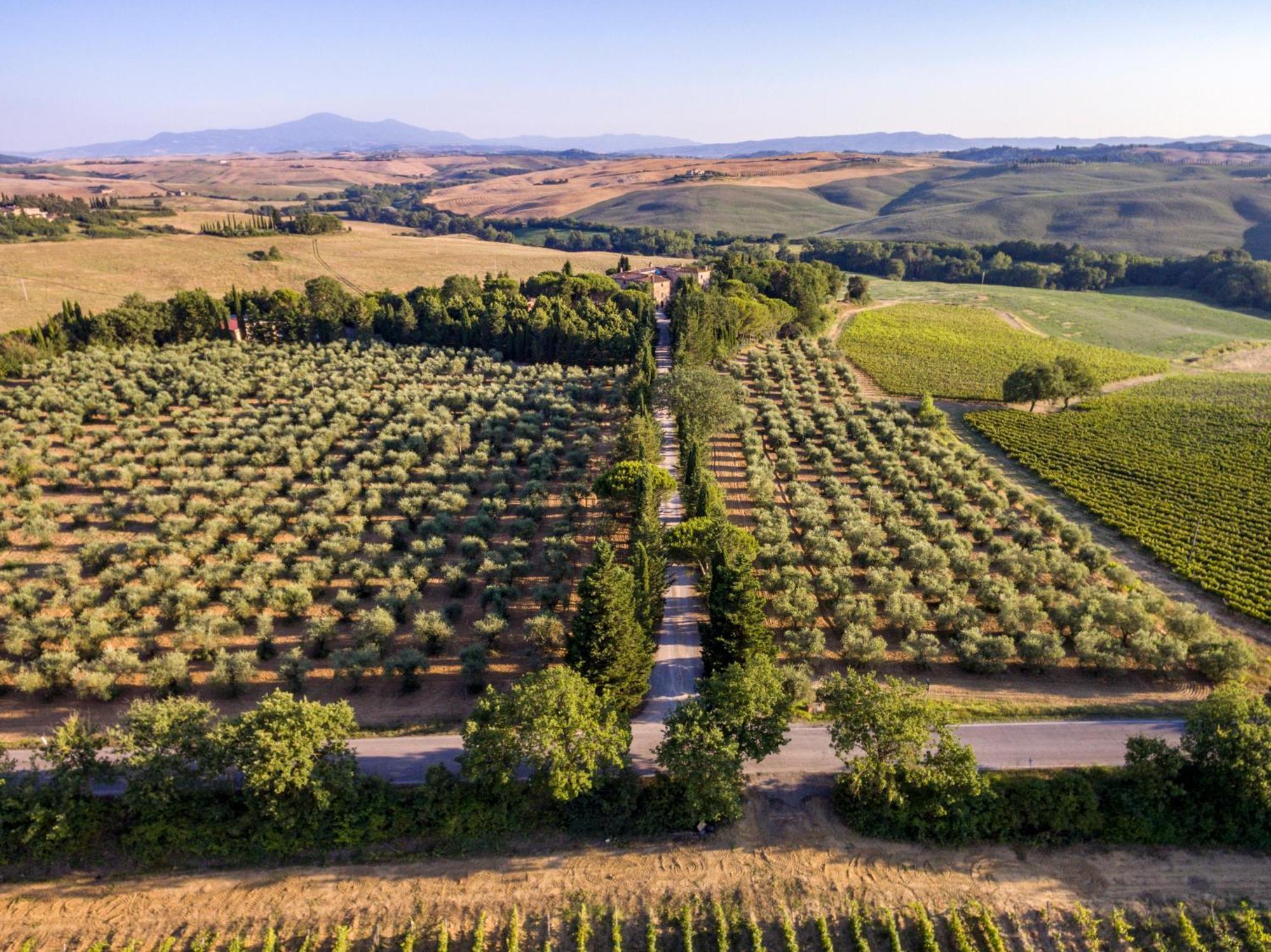 Agriturismo Pometti - Fattoria La Selva Trequanda Ngoại thất bức ảnh