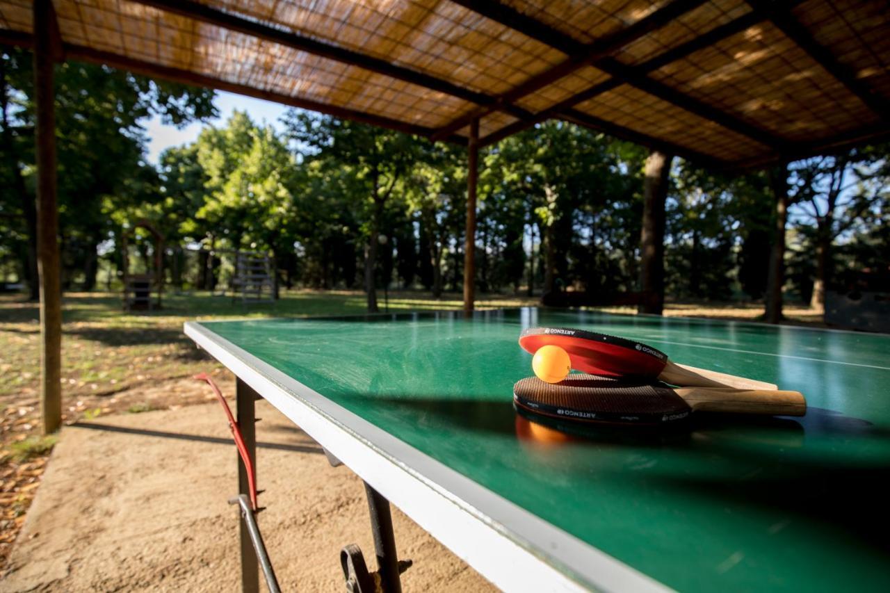 Agriturismo Pometti - Fattoria La Selva Trequanda Ngoại thất bức ảnh
