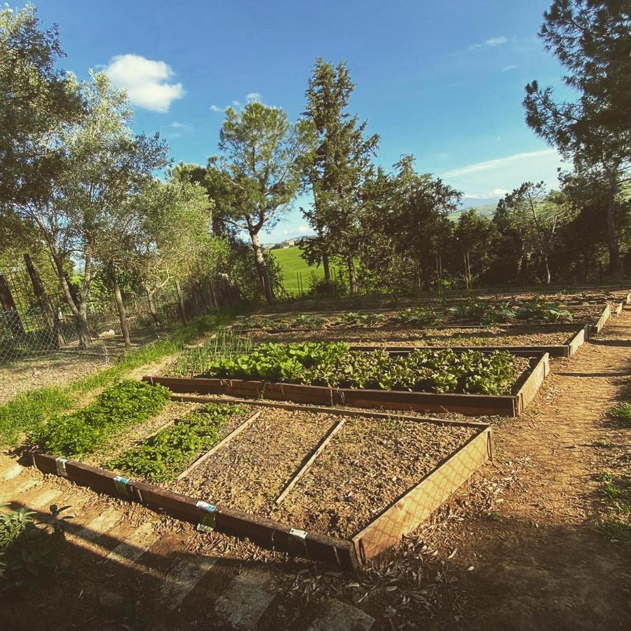 Agriturismo Pometti - Fattoria La Selva Trequanda Ngoại thất bức ảnh